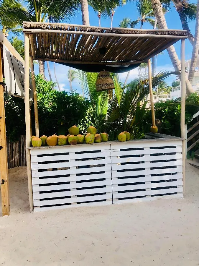 Hotell Ducassi Rooftop Pool Suites Beach Club And Spa Los Corales Beach Punta Cana